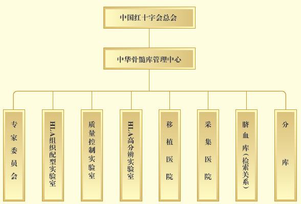 中华骨髓库简介(图2)