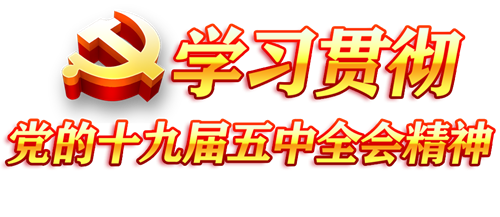 承德市红十字会召开党的十九届五中全会精神宣讲报告会(图1)