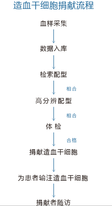 工作流程指南（置顶1号）.png